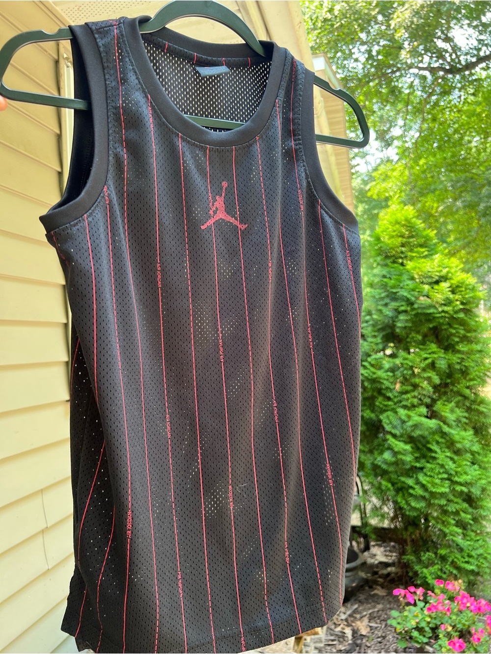 Air Jordan Pin Jersey